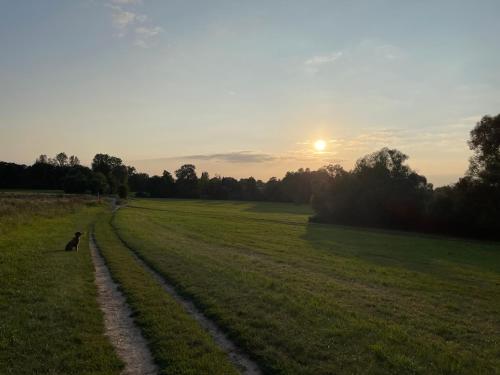 周邊環境, Stilvolles Naturidyll bei Berlin in 格林尼克橋