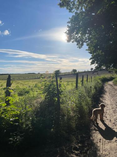 周邊環境, Stilvolles Naturidyll bei Berlin in 格林尼克橋