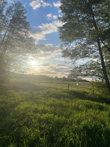 周邊環境, Stilvolles Naturidyll bei Berlin in 格林尼克橋