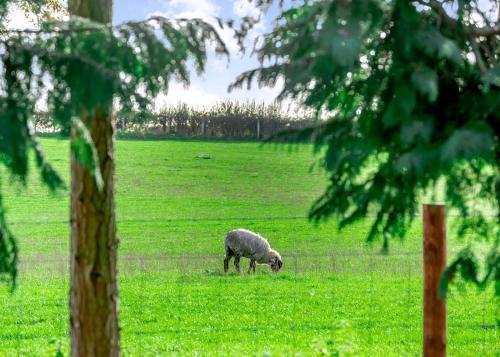 Cedar Retreats – West Tanfield
