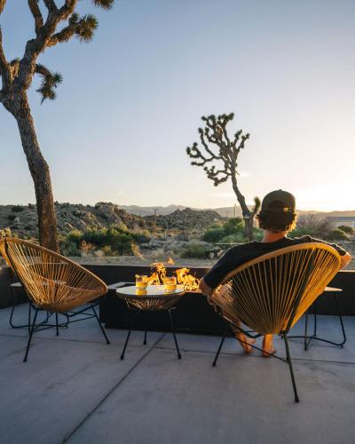 Mulberry & Pine Near Joshua Tree in Joshua Tree, USA
