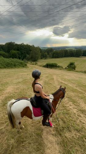 Alrededores, TINY HOUSE - Karlovarský kraj Loket (TINY HOUSE - Karlovarsky kraj Loket) in Kralovske Porici