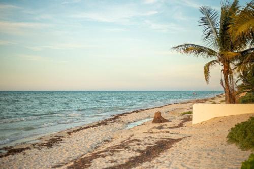 Hermoso Departamento En la Playa in Chicxuclub Puerto Yucatan