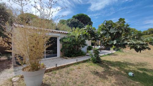 Maisonnette presqu ile de Giens gîte à louer Giens