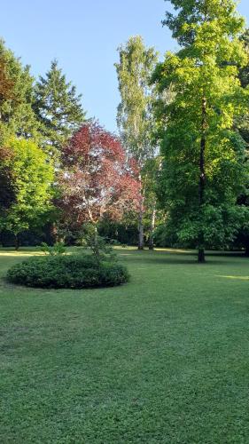 Verdure tourangelle in Veretz