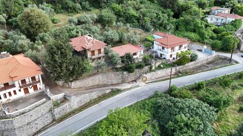 Trypinest, Sparti (photo 8)