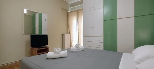 Down Town Flat Apartment, Atény (fotografie 8)
