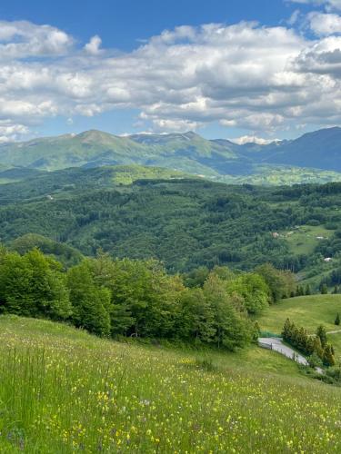 View, Kota 1120 in Polja