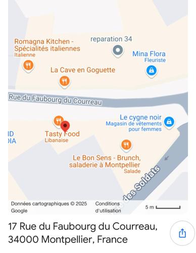 Magnifique F2 Centre Historique Montpellier in モンペリエ