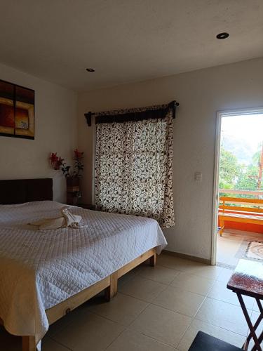 Los Robles, Tepoztlán (fotografie 7)