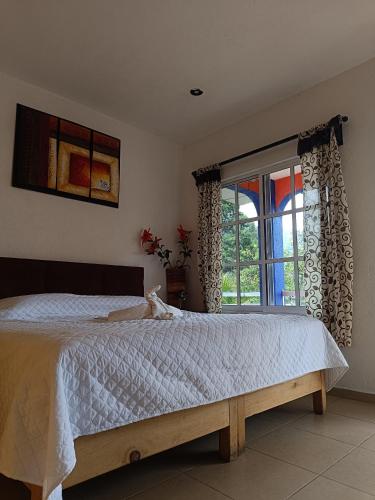 Los Robles, Tepoztlán (fotografie 3)
