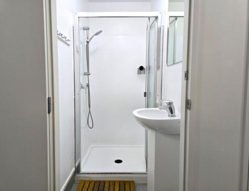Share Bed in 8-Bed Mixed Dormitory (No Window) image 9