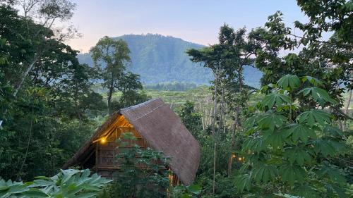 Sandag hill Room Type - One-Bedroom Jungle Villa