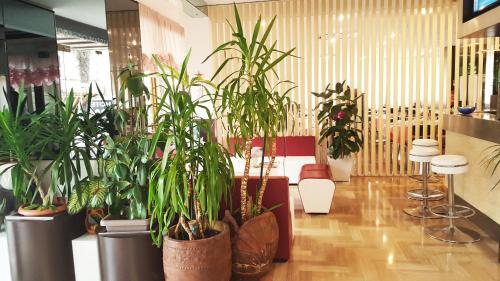 共用Lounge/電視區