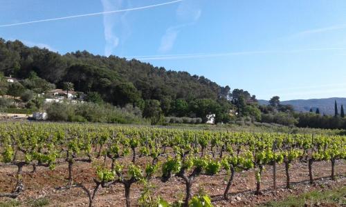 Dreaming House (Maison de Rêve) gîte à louer Le Mitan