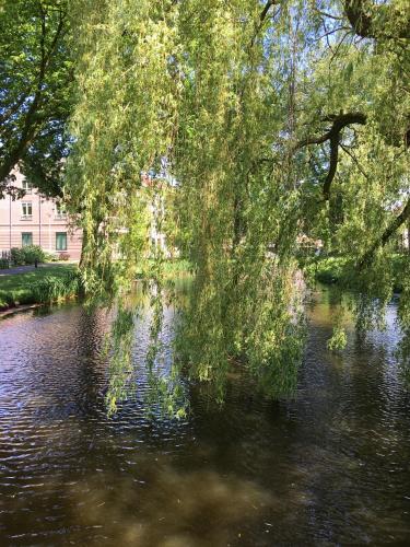 Hart van Lochem - image 4