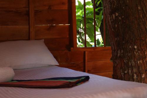 Tree House-Midigama