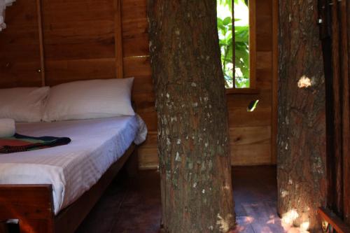 Tree House-Midigama