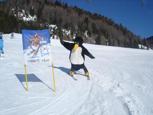 Ski- und Wander Appartements Schiffer