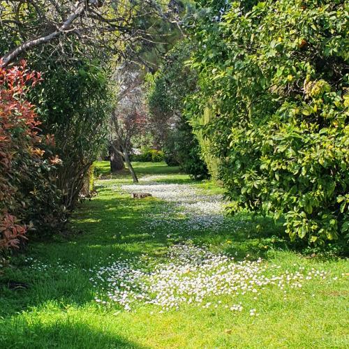 massena in La Fontonne