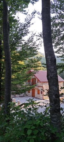 VD Forest villa in Kopito
