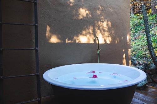 ラ テラ リゾート