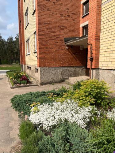 Butas prie tvenkinio in 瓦雷納