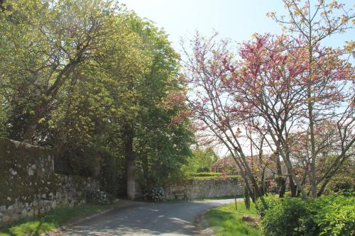 L'horta photo 16