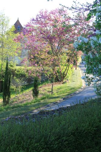 L'horta photo 22