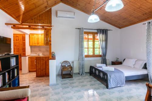 Country House Elaionas in Kypseli