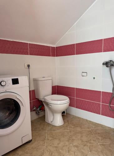 Guesthouse Aleks - image 12