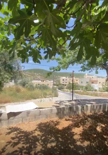 Leith Holiday Home in Ajloun