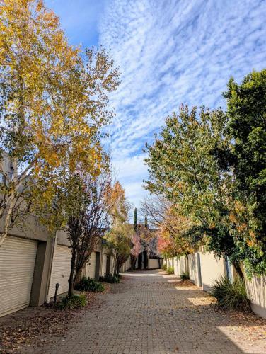 Family Friendly Executive Townhouse in Kent Town in Kent Town