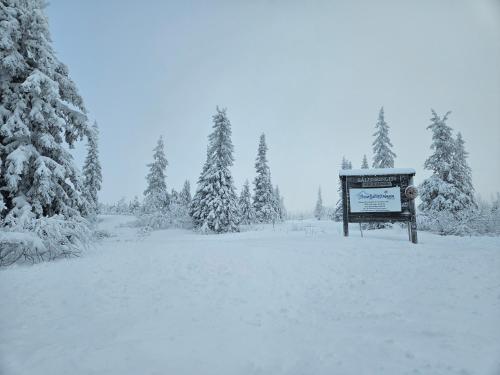 Stugan på kullen i Hemfjällstangen (Stugan pa kullen i Hemfjallstangen) in Salen