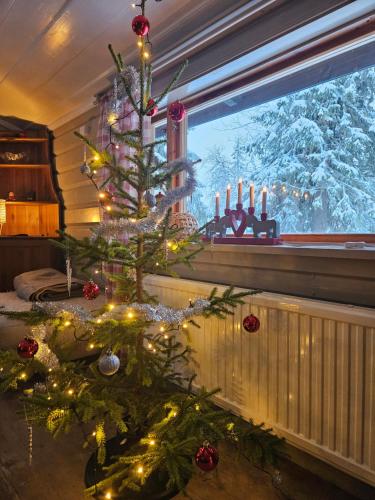 Stugan på kullen i Hemfjällstangen (Stugan pa kullen i Hemfjallstangen) in Salen