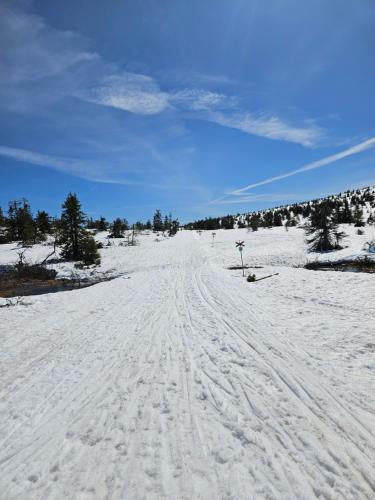 Stugan på kullen i Hemfjällstangen (Stugan pa kullen i Hemfjallstangen) in Salen