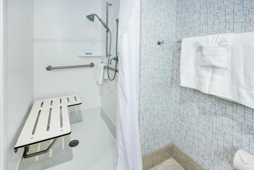 Deluxe Suite - Mobility Access Roll in Shower/Non-Smoking