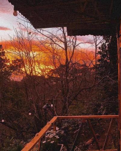 An homestay - forest healing