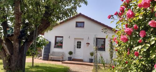 Kleines Ferienhaus Heyne in Rerik, Deutschland