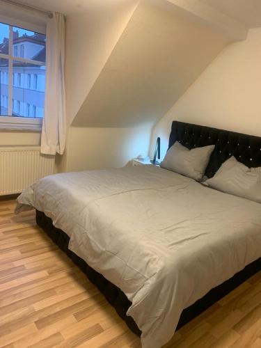 Charmante 3-Zimmer Wohnung in Burg
