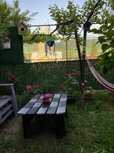 garden and panorama