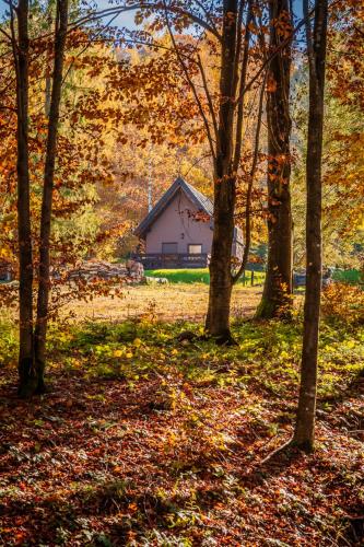 Domek w lesie DiABELSKi KOCiOŁEK - Apartment - Strzebowiska