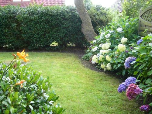 Moin-Moin - image 4