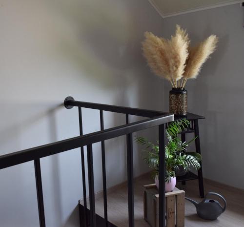 Chez Martine et Jean-Marc in Tintigny