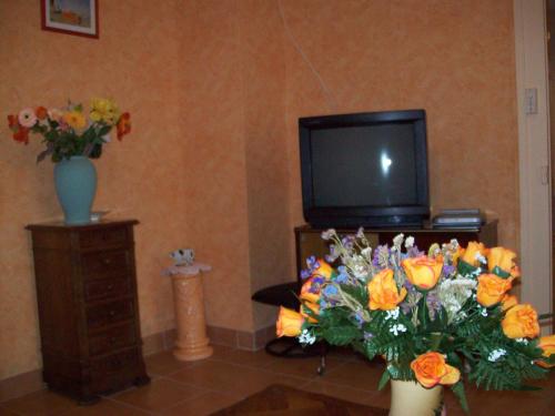 les hortensias gîte à louer Villevieux