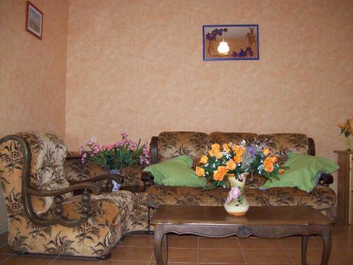 les hortensias in Cosges