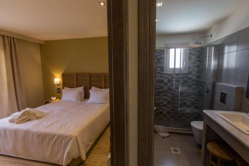 Queen Suite image 7