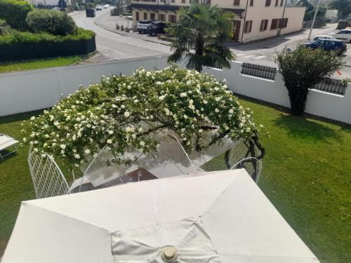 B&B Villa Griselda