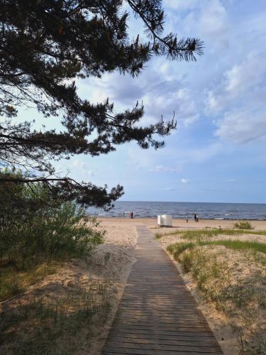 Omgeving, DUBULTI apartment in Jaundubulti