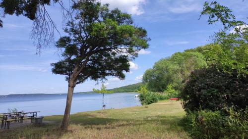 pludmale, Kleines Haus am Wald in Schwielowsee